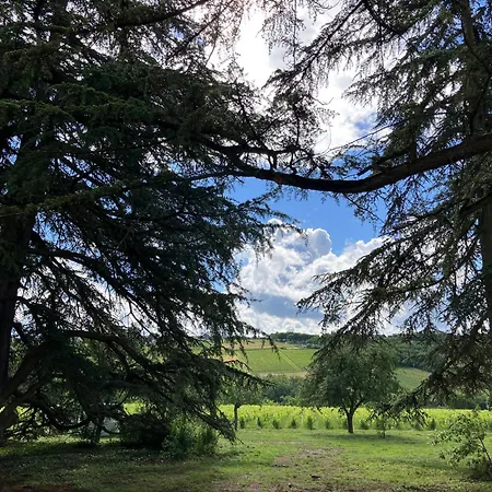 Gite Les Cedres Pommiers  Exterior photo