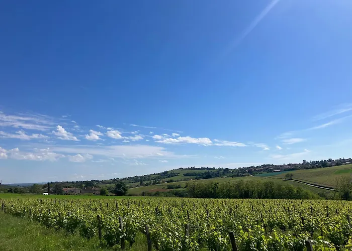 Gite Les Cedres